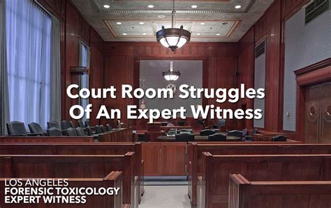 An Expert Witness Can Face A Variety Of Court Room Struggles