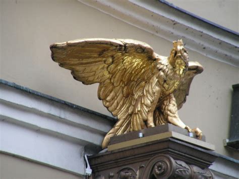 Orzel By Szczypta On Deviantart