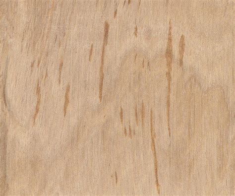 Pacific Maple The Wood Database Lumber Identification Hardwood