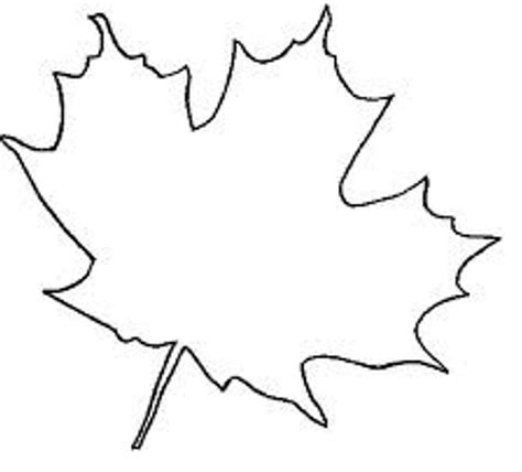 Free Maple Leaf Outline, Download Free Maple Leaf Outline png images ...