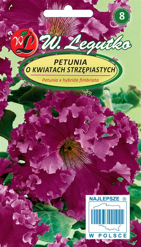 Petunia ogrodowa pędy zwisające amarantowo fioletowa kupuj w OBI