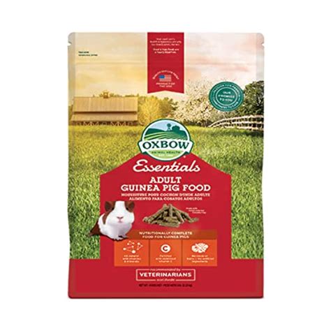 The 10 Best Guinea Pig Treats (2021 Reviews) - Timeline Pets