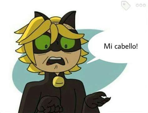 Platanocabello •miraculous Ladybug Español• Amino