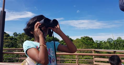 Adventures With The Naked Hermit Crabs Aug Sun Free Guided Walk