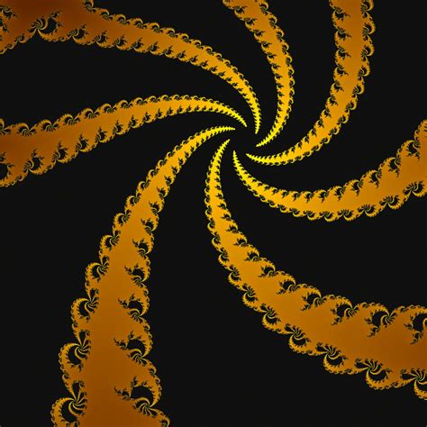 Golden Spiral Free Stock Photo - Public Domain Pictures