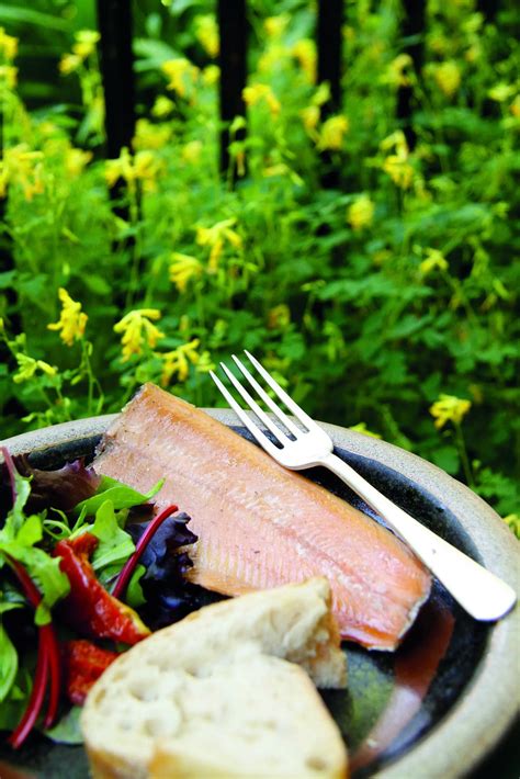 Hot Smoked Trout A Delicious Flavorful Option Smokedbyewe