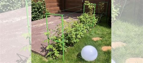 Опора для малины металлическая купить в Ижевске с доставкой | Товары ...