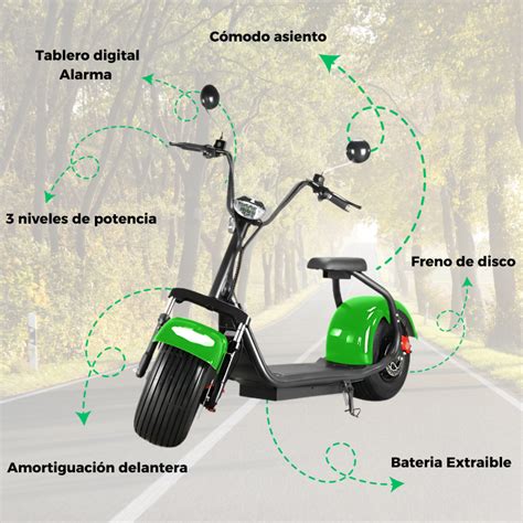 Moto Electrica Gogreen Naked W Ah Digital World