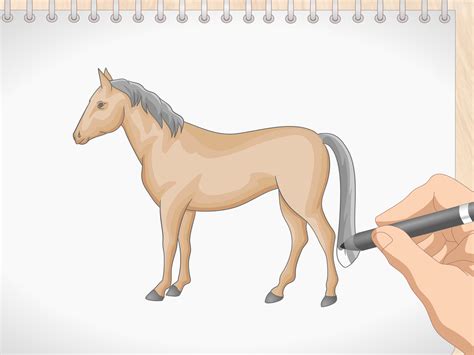 Cavalo Fácil De Desenhar - 9