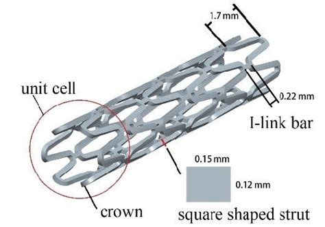 geometrical dimensions   stent  scientific diagram