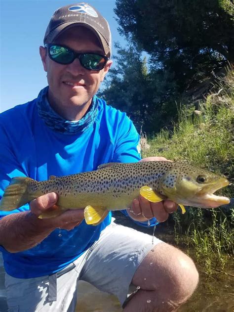 complete guide  trout fishing  connecticut  fishing  america