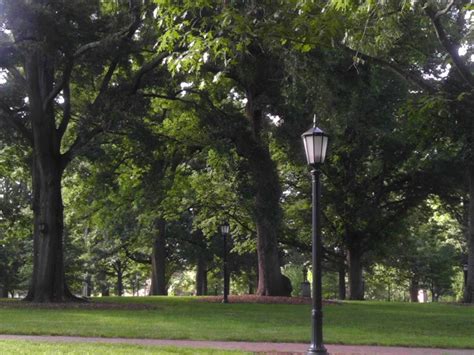 Best Neighborhoods for Families in Durham, North Carolina - Bellhop