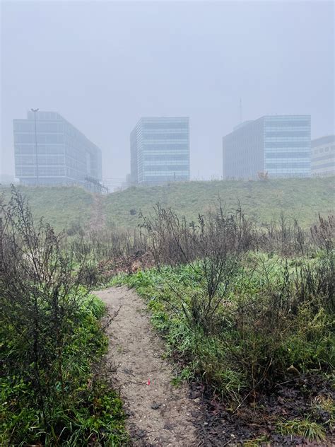 A shortcut to the trainstation : r/DesirePaths