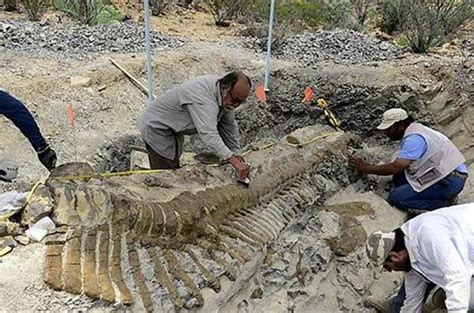 Çin de 174 milyon yıllık dinozor fosili bulundu