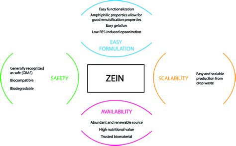 Zein as a versatile biopolymer: different shapes for different ...