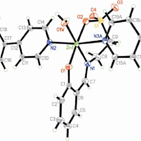 A Color Online The Coordination Environment Of The Zn Ii Ion In