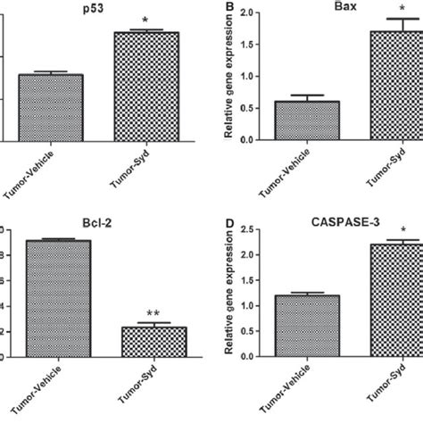 Gene Expression Of P53 A Bax B Bcl 2 C And Caspase 3 D In