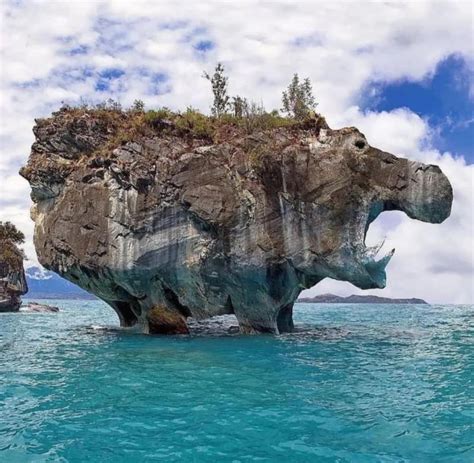 Top 10 Animal Rock Formations Uniliroc