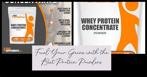Top Protein Powders: Reviews and Rankings - Hunter Games Magazine