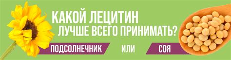 Какой лецитин выбрать: подсолнечный или соевый