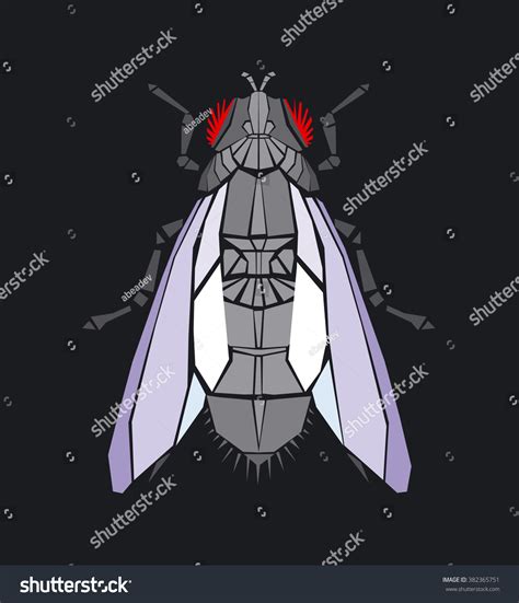 Fly Vector Illustration Stock Vector (Royalty Free) 382365751 ...