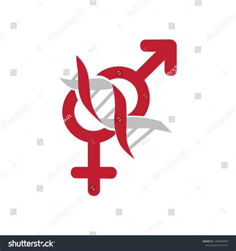 Dna Helix Male Female Sex Symbol vector de stock libre de regalías