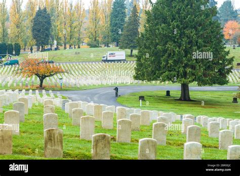 marine military funeral burial cemetery  res stock photography