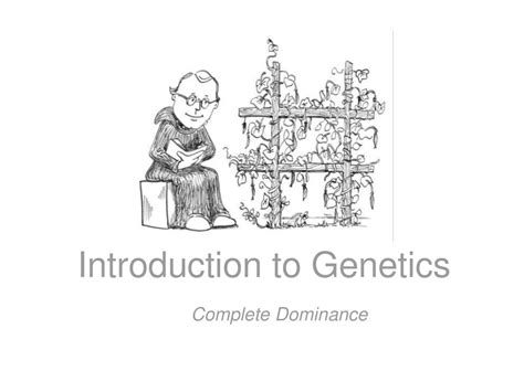 Introduction To Genetics Ppt Download