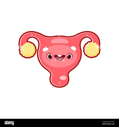 Útero De Dibujos Animados Cuerpo Humano órgano Personaje Vector