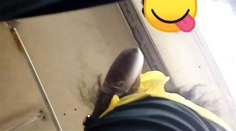 Niyama Passa Sri Lankan Asian Asian Porn XHamster