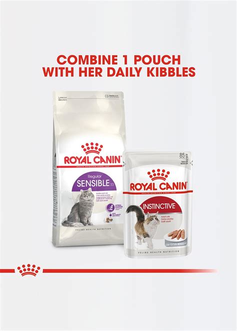 royal canin dry food for cats 1