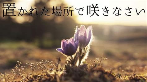 【正規販売店】 置かれた場所で咲きなさい どんな時でも人は笑顔になれる 2冊セット Bd