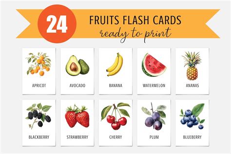 24 Fruits Cards Montessori Flashcards Pre School Cards Etsy