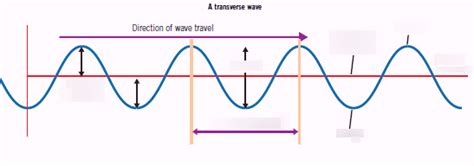 Diagram Physics Wave Quizlet