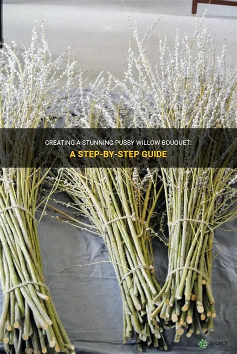Creating A Stunning Pussy Willow Bouquet A Step By Step Guide ShunCy