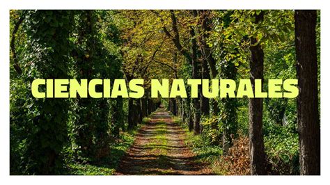 Qu Estudian Las Ciencias Naturales Informaci N Completa