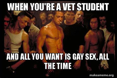 When You Re A Vet Student And All You Want Is Gay Sex All The Time Fight Club Meme Generator