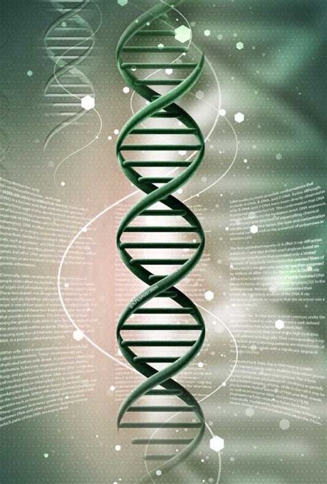 2012 – Pyramids, Climate Change & The Awakening of our DNA | The ...