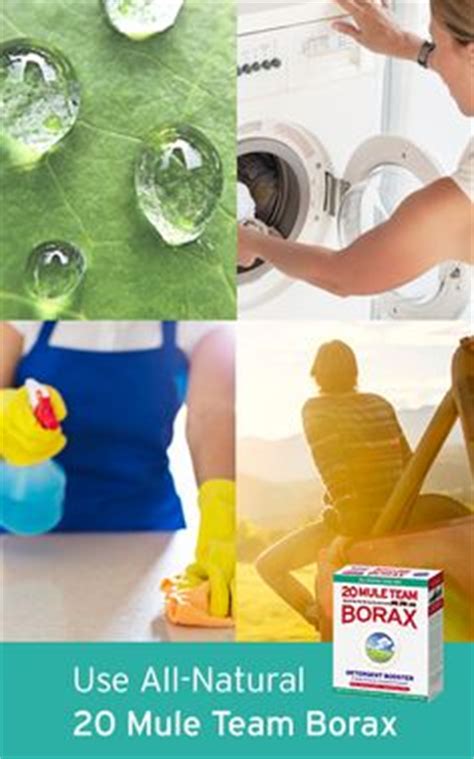 borax ideas borax  mule team borax detergent booster
