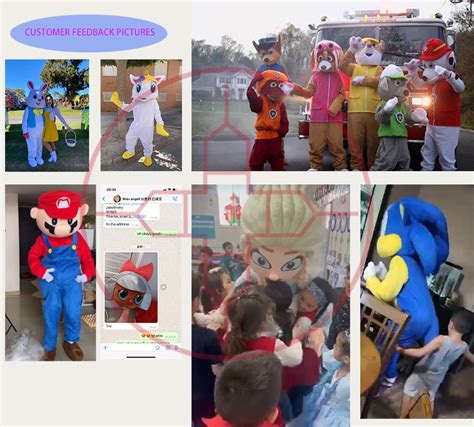 Hengyuan Real Pics Of Sonic Custom Character Cartoon Mascots Costumes