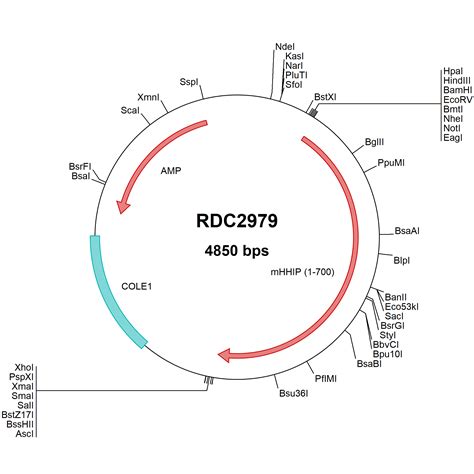 Hip Products | Bio-Techne