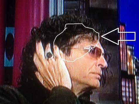howard stern  wig