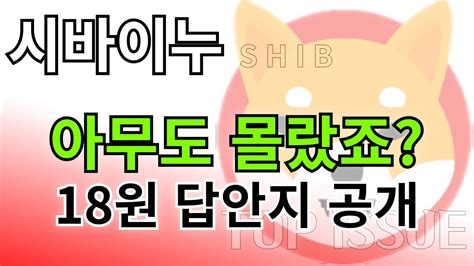 시바이누shib 아무도 모르실꺼 같아서 18원 답안지 공개 결정 했습니다 시바이누코인 시바이누전망 Youtube