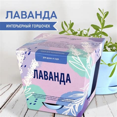 Набор для выращивания растений Тысяча листьев Лаванда купить в интернет ...