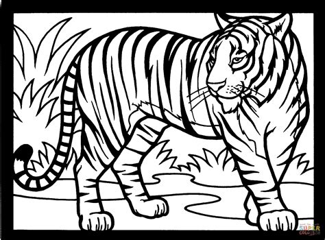 Tigre Para Pintar - Tigre para Colorir e Imprimir - Muito Fácil - Colorir e Pintar