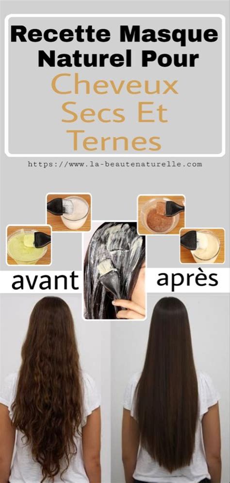 Recette Masque Naturel Pour Cheveux Secs Et Ternes Dull Hair Natural