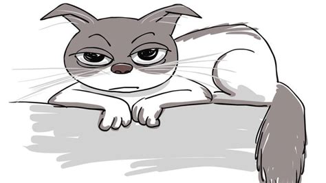 Целительный котофеномен