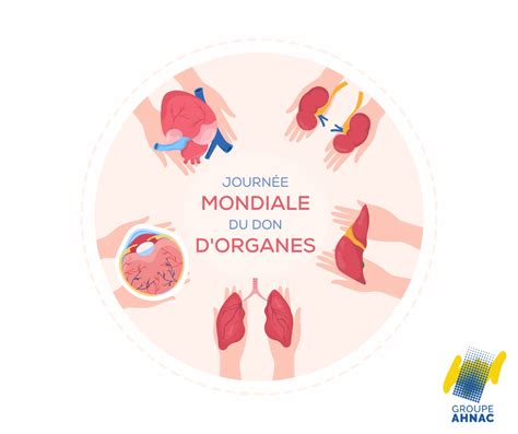 Journée mondiale du don d organes Polyclinique du Ternois St pol