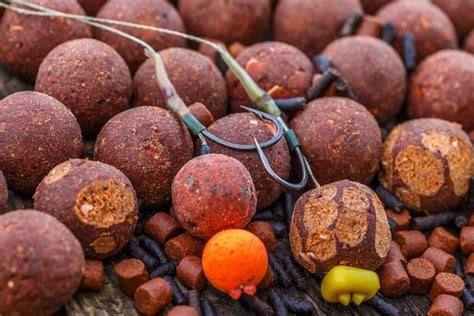 How To Catch Carp Been So Easy With 10 Tips