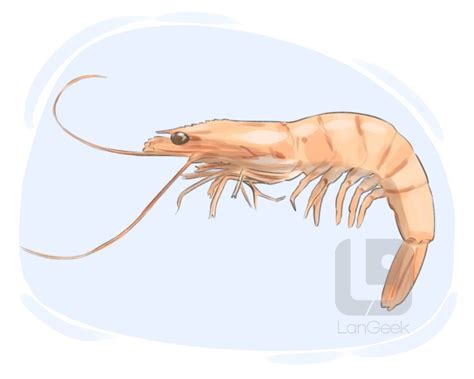 Definition And Meaning Of Prawn Langeek